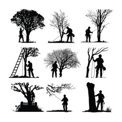 silhouette of people are cutting tree