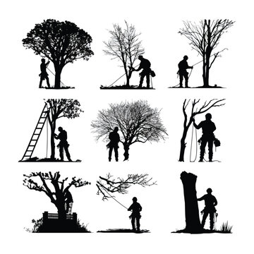 silhouette of people are cutting tree