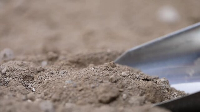 Close-up view of a hand in a protective blue glove using a metal scoop to collect a sample of dry soil from the ground for analysis or gardening.

