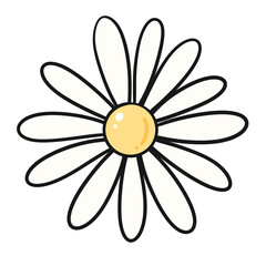 Cute Daisy Flower Illustration