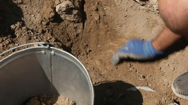 Close-up view of a hand in a protective blue glove using a metal scoop to collect a sample of dry soil from the ground for analysis or gardening.

