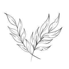 Botanical Leaves Illustration Design Elements in Minimal Style for Nature Lovers and Artists to Inspire Creativity
