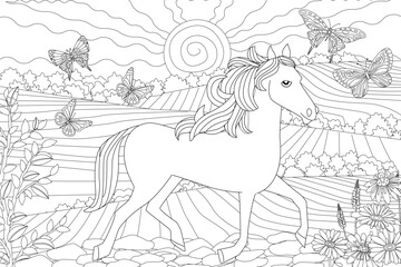 coloring book page for adults and kids. horse walking on cobbled country road in field landscape with flying butterflies