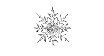 Intricate black and white hand-drawn illustration of a single, detailed and symmetrical ice crystal snowflake on white.