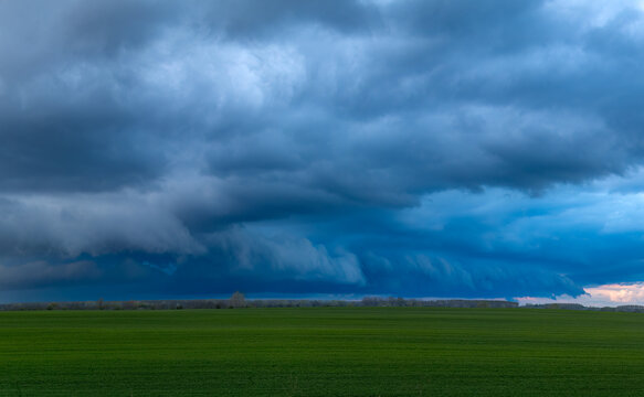 Dramatic storm clouds gather over a vibrant green agricultural field under a moody sky - Powered by Adobe