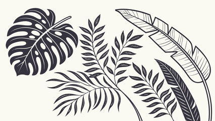 vector silhouette of a leaf