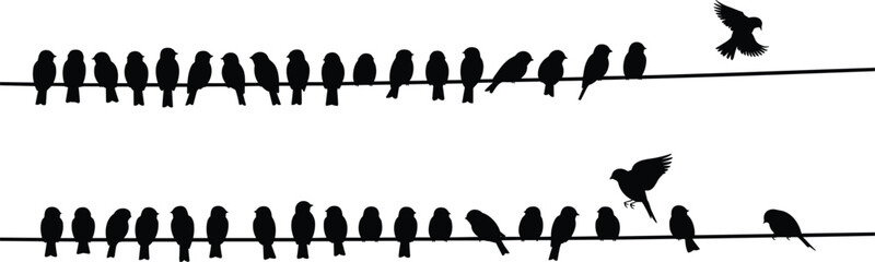 PrintBird silhouette illustration, perched flying flock vector, wire sitting design sketch, nature wildlife outline icon, animal graphic drawing, migration symbol art