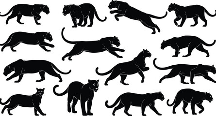 Black panther and jaguar running, jumping, and walking silhouette set, wild feline predatory animal vector collection, nature, wildlife, power, and danger graphic assets, jungle cat.