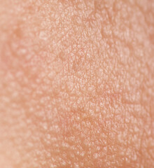 Fototapeta premium A close up of a person's arm with a tan skin tone