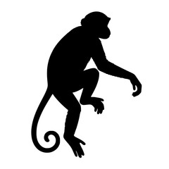 vector silhouette of a monkey 