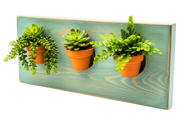 Blue wooden wall planter with three terracotta pots and succulents isolated with transparent background