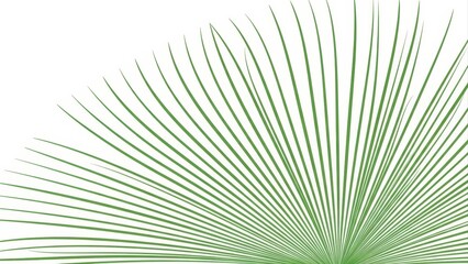 Obraz premium Close-up of a vibrant green palm leaf with a white background, showcasing its intricate fan-like pattern and delicate veins.