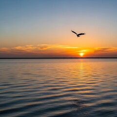 Bird Soaring Over Calm Waters at Sunset - A Moment of Freedom.