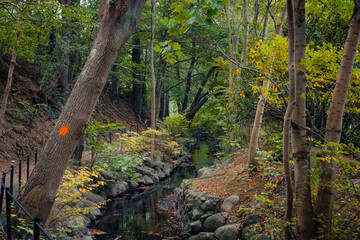 A tranquil, wooded scene from the protected ravine of Ramlosa Brunnspark in Helsingborg, Sweden. A small stream flows between moss-covered stone retaining walls, typical of the historic spa environmen