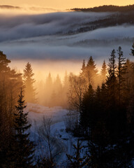 Fototapeta premium Sunrays Piercing Fog in Autumnal Pine Forest, Norwegian Woods with Dusty Road Leading to Walley, Krøderen, Norway