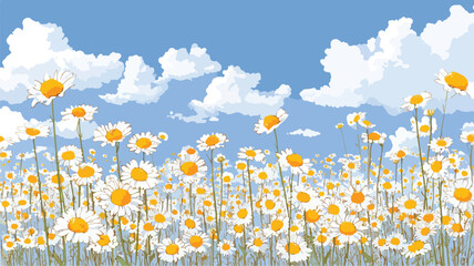 Bright Daisy Field Beneath Clear Sky - Vector Illustration