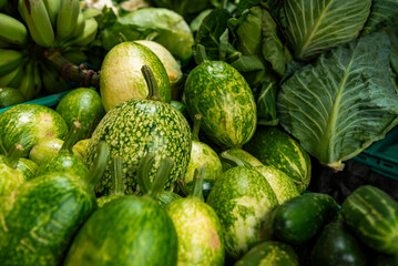 Market stall in Funchal, Madeira shows green striped gourds, cucurbits, glossy cabbage leaves, and unripe bananas, lit by daylight that highlights varied textures.