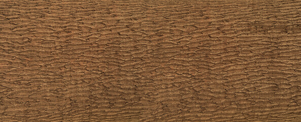 Tree bark surface showing natural rough wood texture