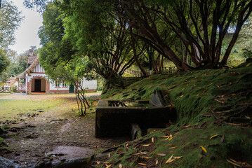 Naklejka premium A mossy tree shaded path leads to a white cottage with brick trim and thatched roof in Monte, Funchal, Madeira. A stone washing basin sits in an embankment under twisted trunks.