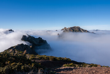 Jagged volcanic peaks of Pico do Arieiro rise above a sea of clouds in Madeira, Portugal. Early daylight reveals hardy shrubs, rocky soil, and dark rock spires.