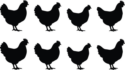 Chicken Silhouette Collection, Black Flat Vector Illustration Set of Hens and Roosters, Farm Bird Shapes for Poultry Icons and Logos, Minimalist Drawing Isolated on White