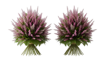 Two bouquets of pink flowers isolated on transparent background