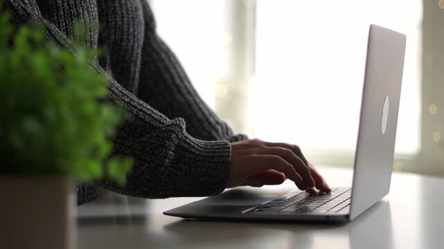 Person typing on a laptop with a blurred plant in the foreground. Concept remote work, job at home, house or office. Gorl shopping in internet