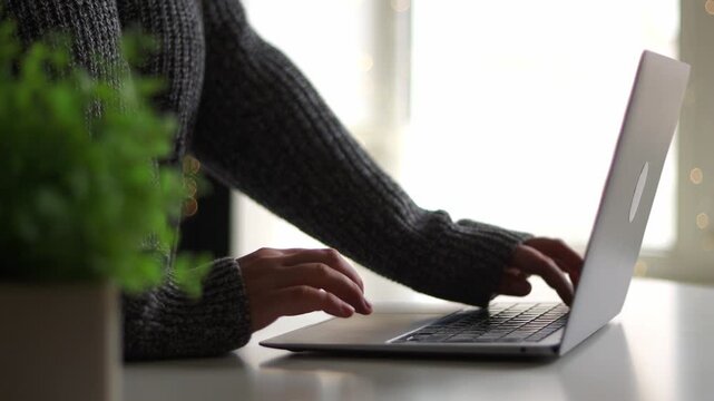 Person typing on a laptop with a blurred plant in the foreground. Concept remote work, job at home, house or office. Gorl shopping in internet