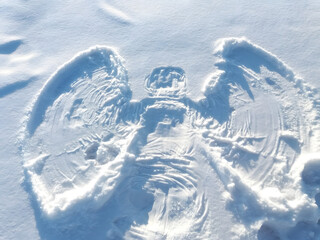 footprint in the snow, snow angel