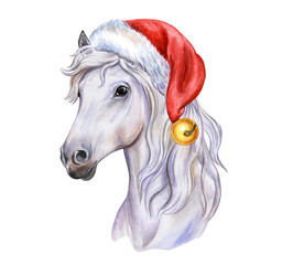 Watercolor white horse portrait wearing Santa hat with bell. Festive Christmas animal illustration isolated on transparent background for holiday cards and winter designs.