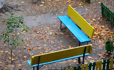 A bench in an autumn park after the rain. Yellow leaves stuck to the wet wooden surface. Beauty in nature. Walking in the fresh air.