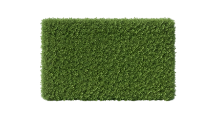 artificial grass carpet on transparent background PNG