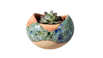 mosaic succulent planter pot, isolated on tranparent background PNG