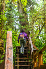 Fototapeta premium Tourist walking up wooden stairs in rainforest trail on vancouver island