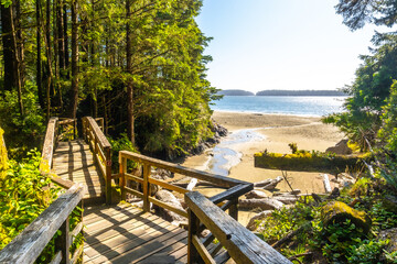 Obraz premium Wooden boardwalk leading to a secluded beach in tofino, vancouver island