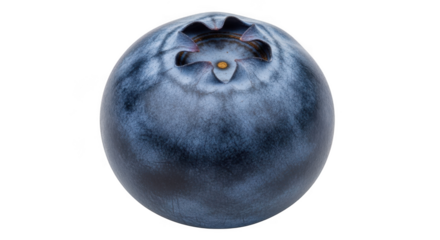 Close up macro shot of a single ripe blueberry against a