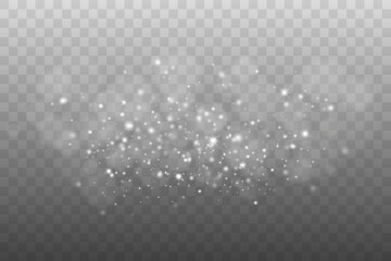 Delicate White Light Dust and Floating Sparkles Overlay, Vector