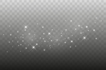 Elegant Glowing Dust and Sparkling Lights Overlay, Vector