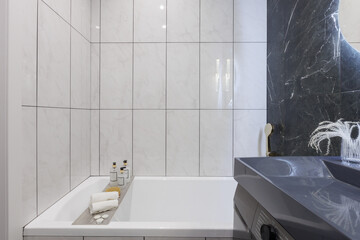 modern bathroom room with toilet and washing machine