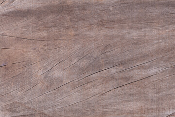 Old brown wood board. Rustic wood background