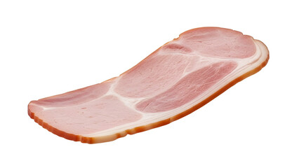 Single Slice of Cooked Ham Isolated Product Shot on White Background