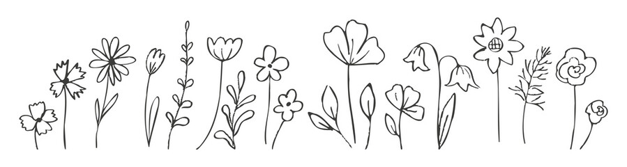 Contemporary ink drawing flowers, field plants. Childish floral Sketch. Hand drawn spring wildflowers in charcoal or crayon drawing style. Monochrome botanical vector illustration isolated
