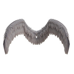 Mockup of angel wings showing gray feathers with detailed texture for design or artistic projects