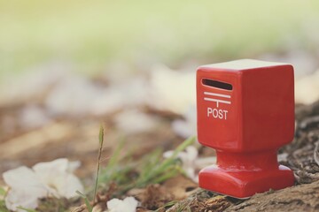 Red mailbox with pink flower fall on ground nature background