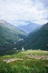 Lush green mountain valley with forested slopes descending toward winding river in the distance. Alpine environment under a softly clouded sky