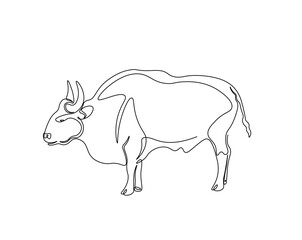One continuous line drawing of wild bull. cow - animal outline drawing illustration.