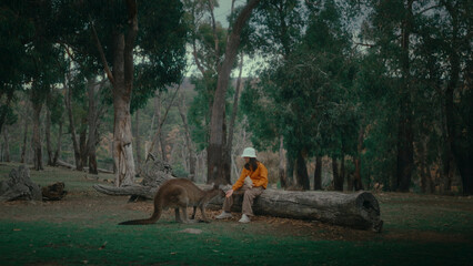 A tranquil and peaceful scene showcasing a person kindly feeding a kangaroo within a beautifully lush forest