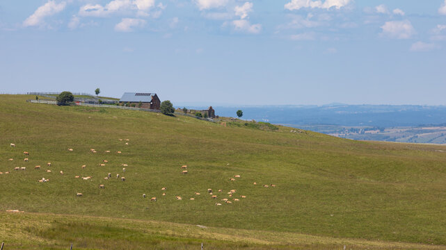 buron, ferme traditionnelle d'&eacute;t&eacute;, sur le plateau du Limon, plateau basaltique dans le Cantal