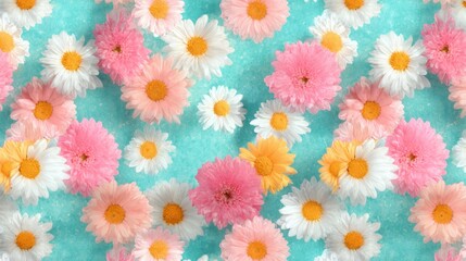 Different colorful daisies spread on a light blue textured surface