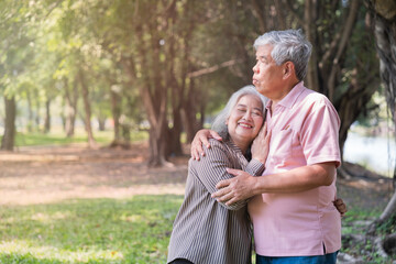 Eternal Embrace: Capturing a Tender Moment:  A loving senior couple shares a warm embrace amidst the natural beauty of a sun-dappled park.